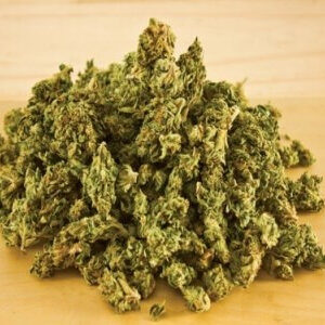 Compra El sueño de Snoop online