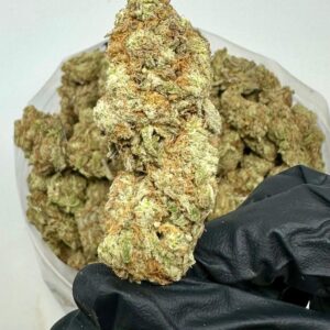 Compra Super Lemon Haze en línea